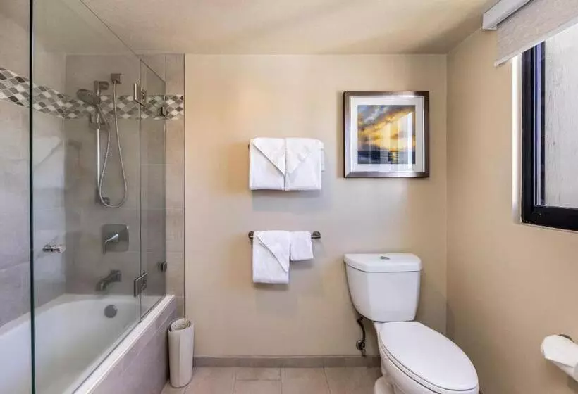 Ocean Front Spectacular Condo