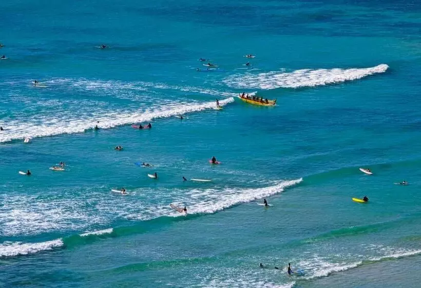 Ocean Front Spectacular Condo