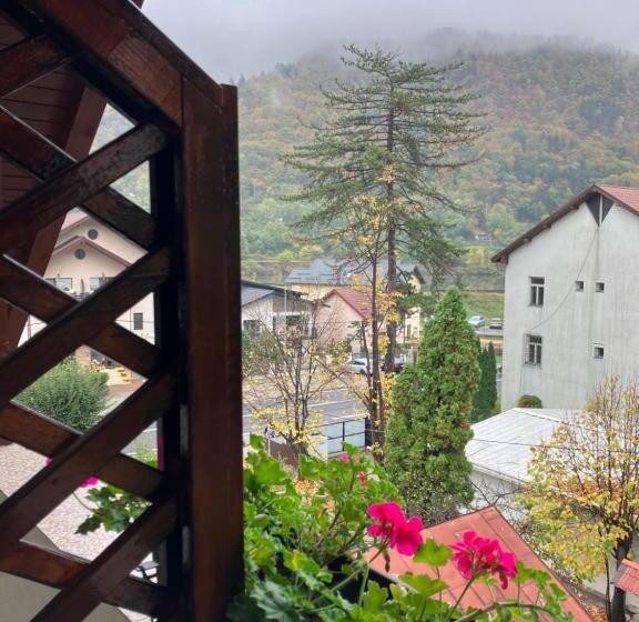 پانسیون Casa Babi