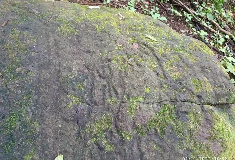 Majatalo Hostel La Gloria