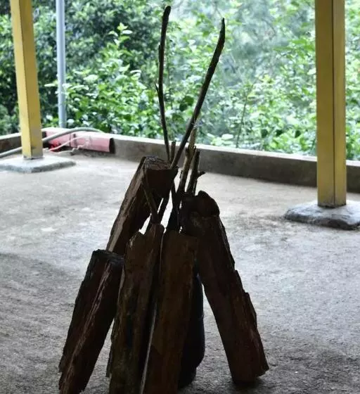 ペンション Eshwari Cottage