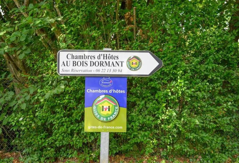 پانسیون La Cabane Magique D Hedwige Adults Only