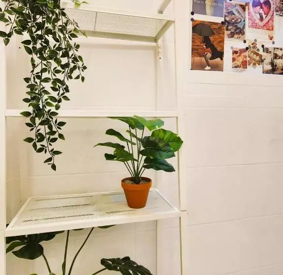 ペンション Oreum Stay Myeongdong   Female Only