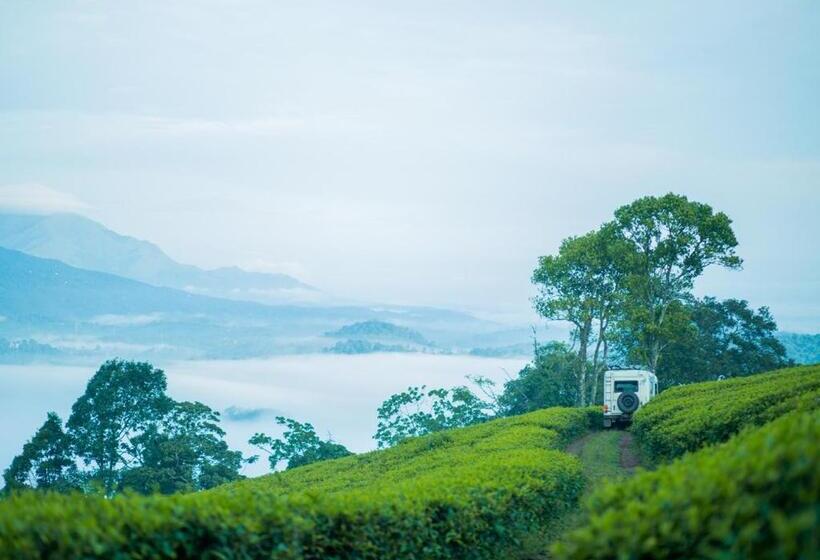 Wild Courtyard Wayanad Resort