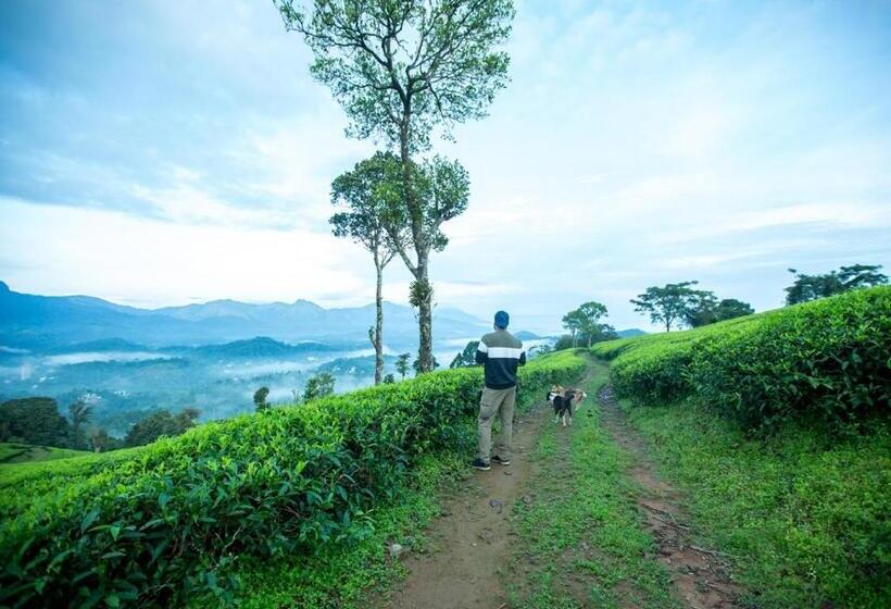 Wild Courtyard Wayanad Resort