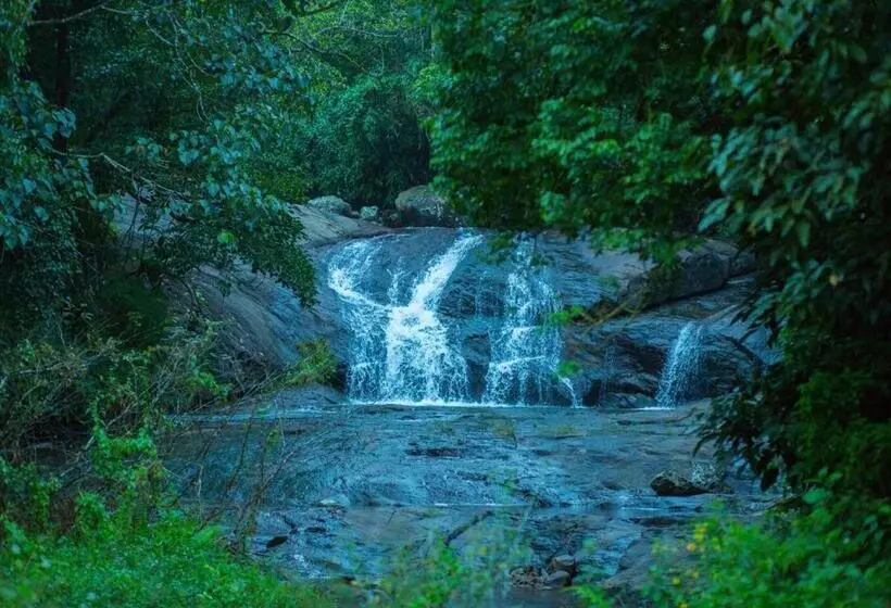 Wild Courtyard Wayanad Resort