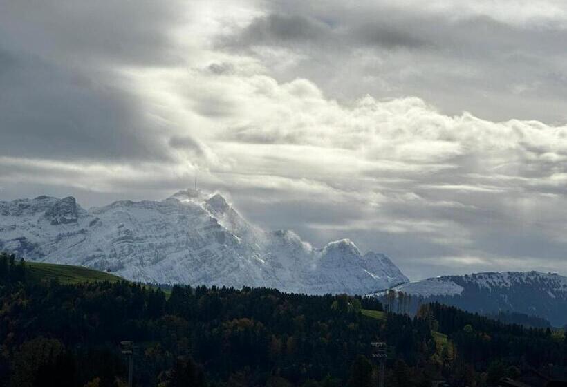 „gg“ Games Garni Hotel Säntis