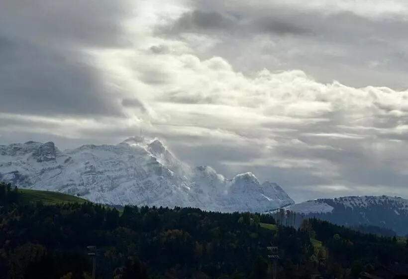 „gg“ Games Garni Hotel Säntis