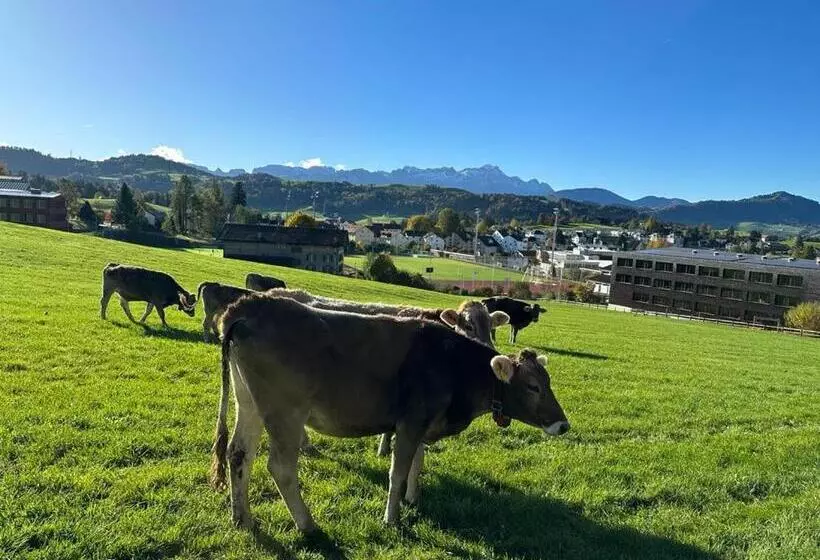 „gg“ Games Garni Hotel Säntis