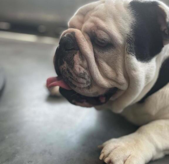 ホテル Concord Suite For Two With Private Jacuzzi