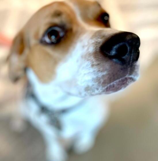 ホテル Concord Suite For Two With Private Jacuzzi