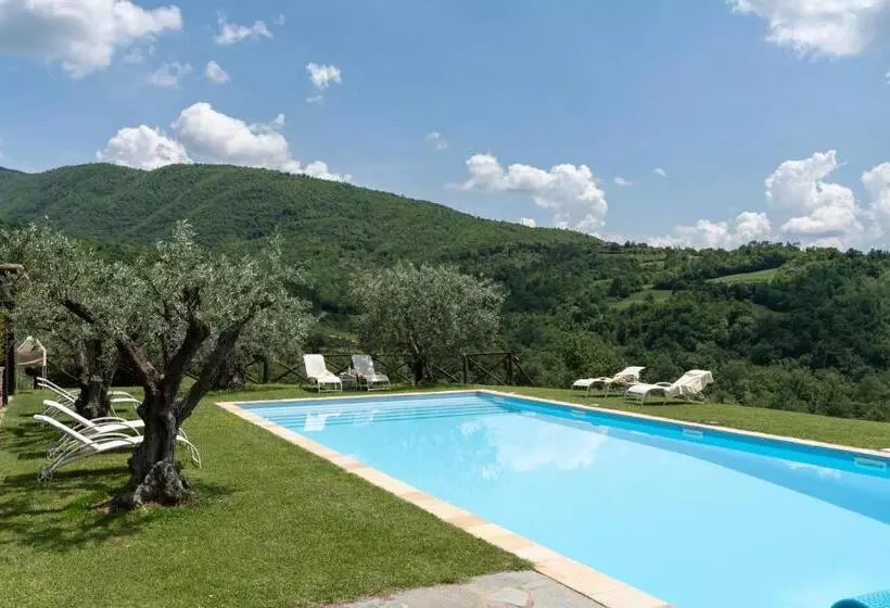 ホテル Villa Olivi