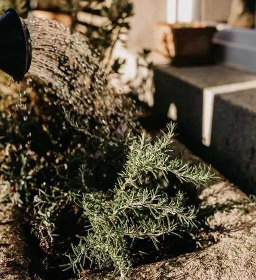 Majatalo Casa Do Cuco   Rural House