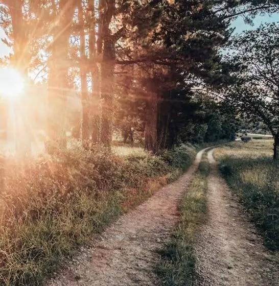Majatalo Casa Do Cuco   Rural House