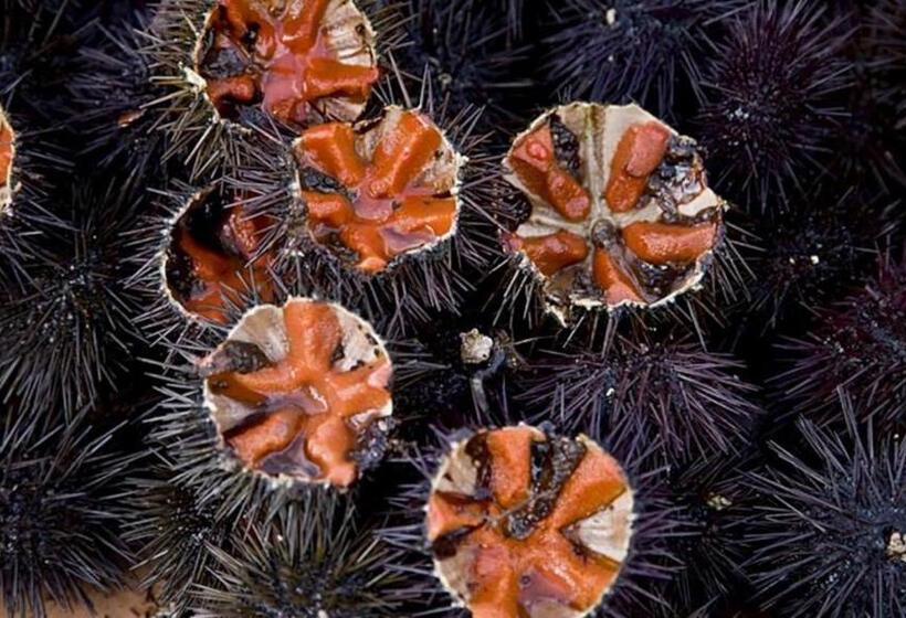 پانسیون Residenze Benedetto Croce