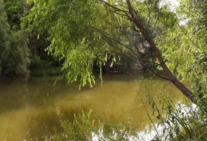 Majatalo Waterfront Haven   Sleeps 19   Home Cinema   Dock   Weatherford Tx