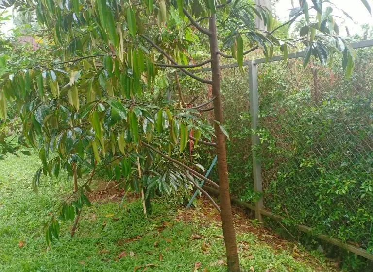 Minton Resort มิลตั้น รีสอร์ท