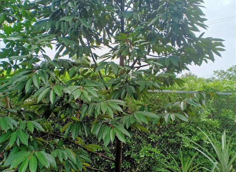 Minton Resort มิลตั้น รีสอร์ท