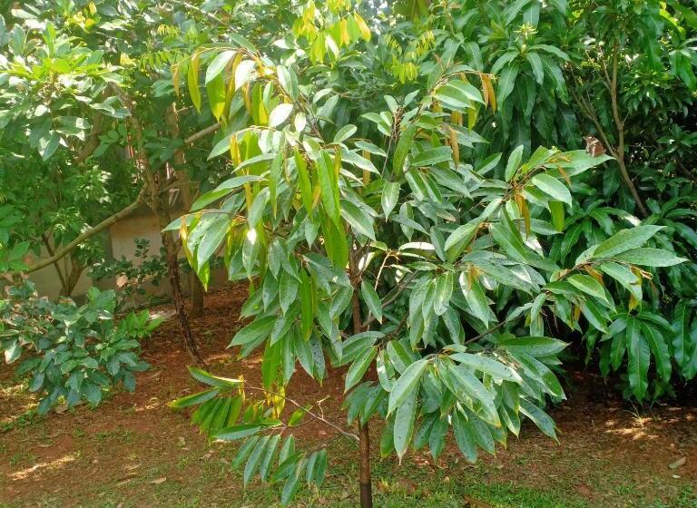 Minton Resort มิลตั้น รีสอร์ท