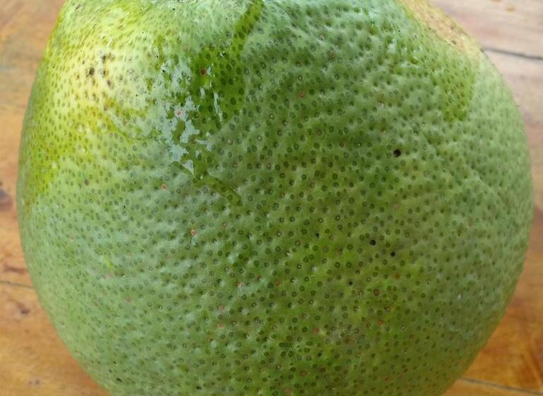 Minton Resort มิลตั้น รีสอร์ท