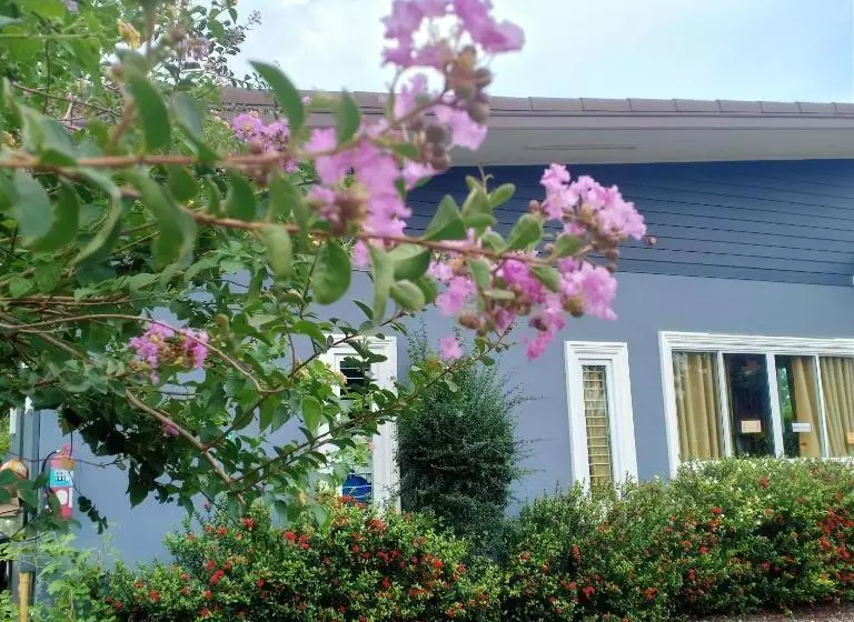 Minton Resort มิลตั้น รีสอร์ท