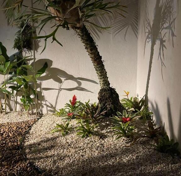 膳宿费 Acomodações Do Tio Will 2