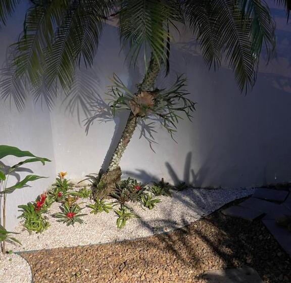 膳宿费 Acomodações Do Tio Will 2