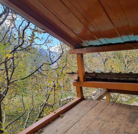 ペンション Cafe Sol_connexion