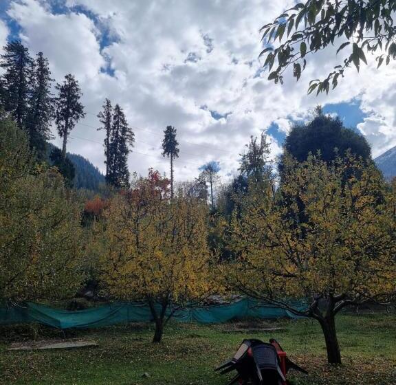 ペンション Cafe Sol_connexion