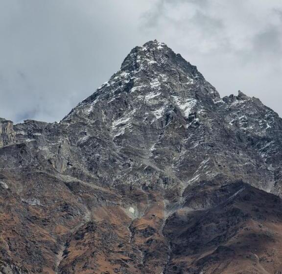 ペンション Cafe Sol_connexion