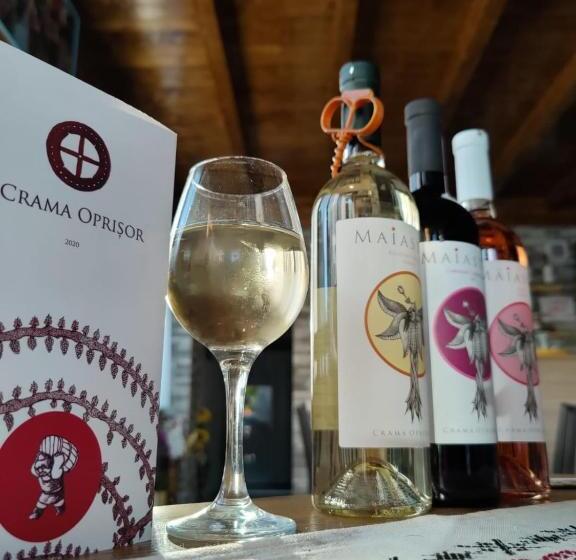 پانسیون Casa Ana Maria