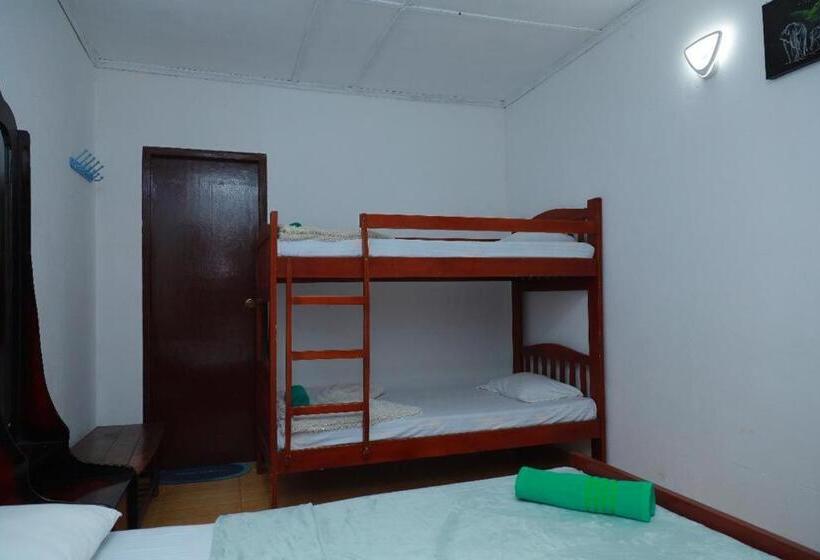 פנסיון Villa White House