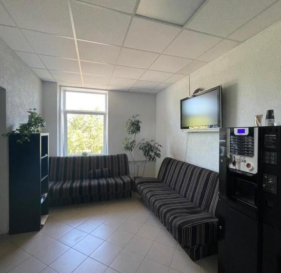 هاستل Vaidoto 33