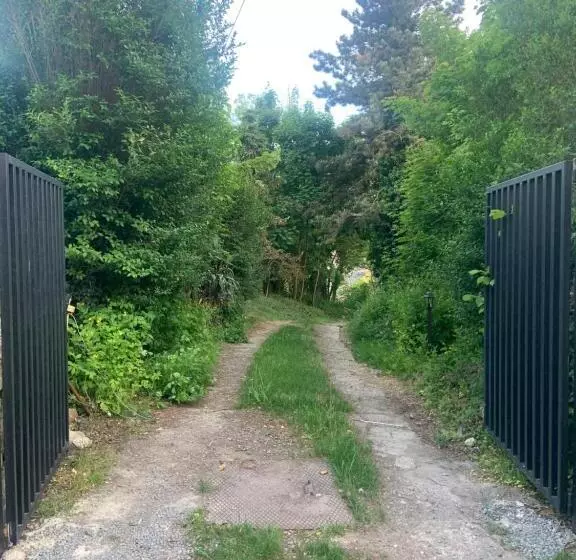 ベッドアンドブレックファースト Suite Marie