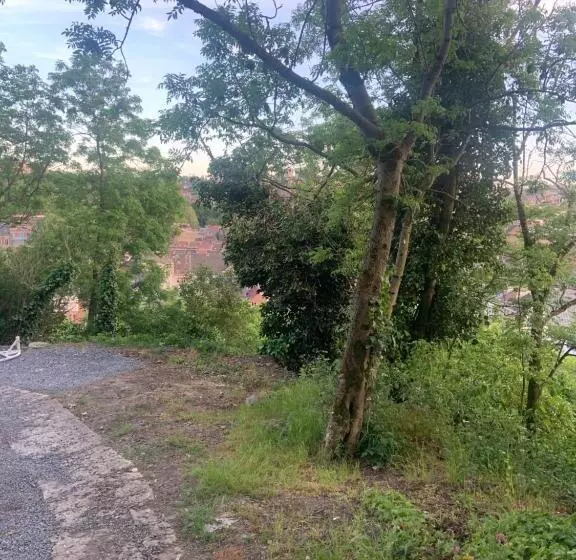 ベッドアンドブレックファースト Suite Marie