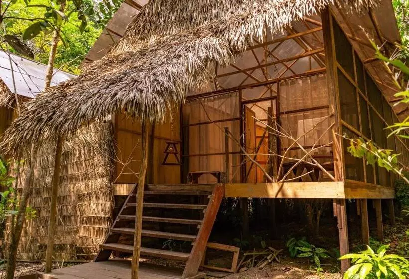 Family Hotel Purma Caspi On The Jungle Lake