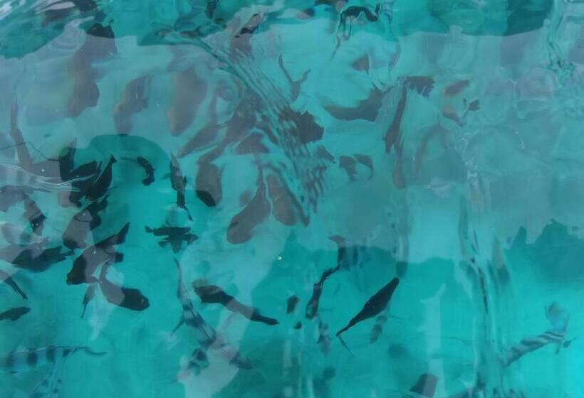 בית מלון כפרי Holiday Time Bungalows Zanzibar