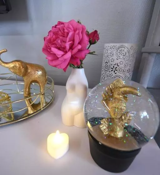 ホテル Le Love Chalet Des Alpes
