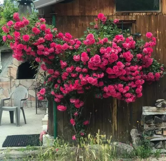 ホテル Le Love Chalet Des Alpes
