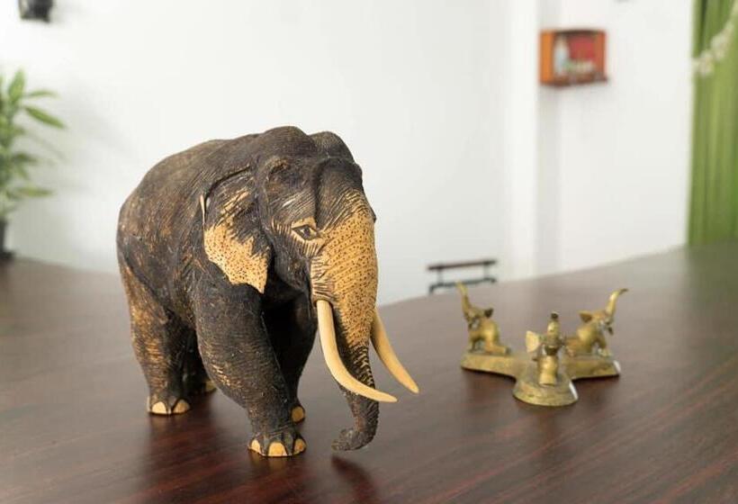 Hotel New Blue Mount View Kandy