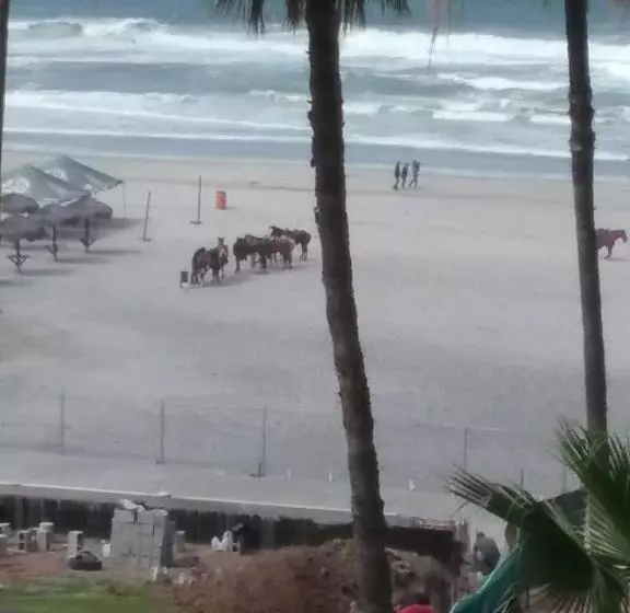 Oceana Casa Del Mar
