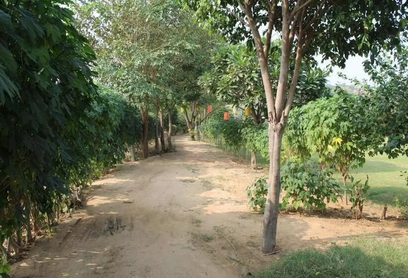 Lomakeskus Wildhawk Adventure Near Delhi Ncr