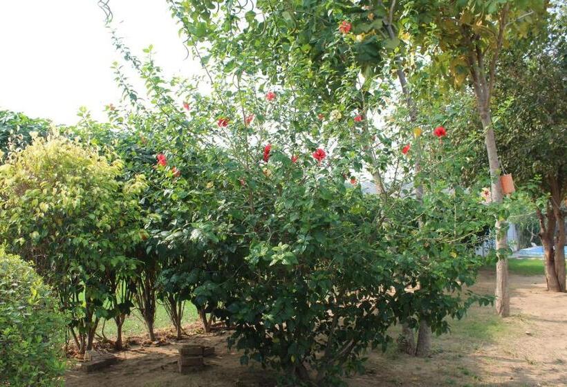 Курорт Wildhawk Adventure Near Delhi Ncr