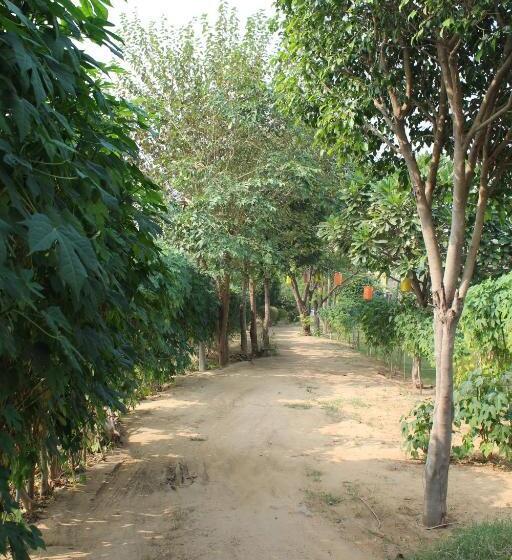 Курорт Wildhawk Adventure Near Delhi Ncr