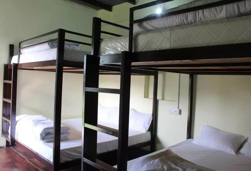 Lomakeskus Wildhawk Adventure Near Delhi Ncr
