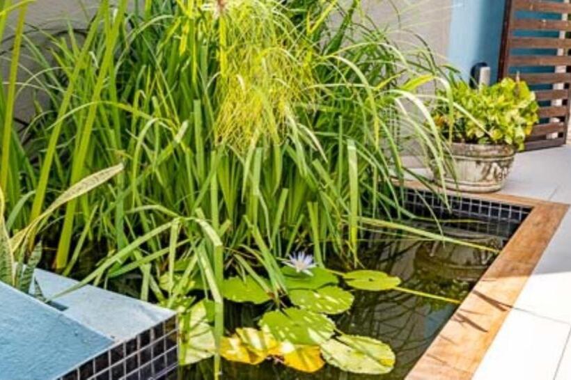 Unit P11/29 Dec @sanbonani Resort & Spa