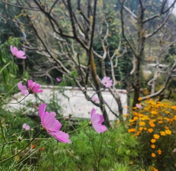 הוסטל L Ashrum Cafe & Inn