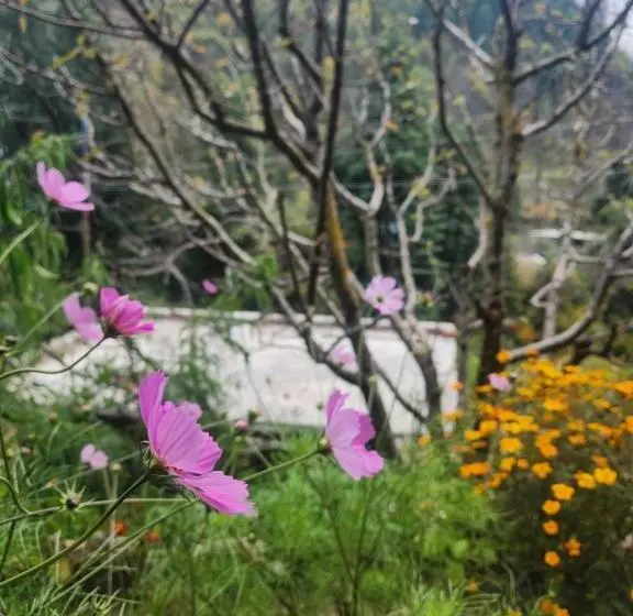 Retkeilymaja L Ashrum Cafe & Inn