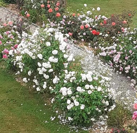 Aamiaismajoitus (B&B) La Trémouchère