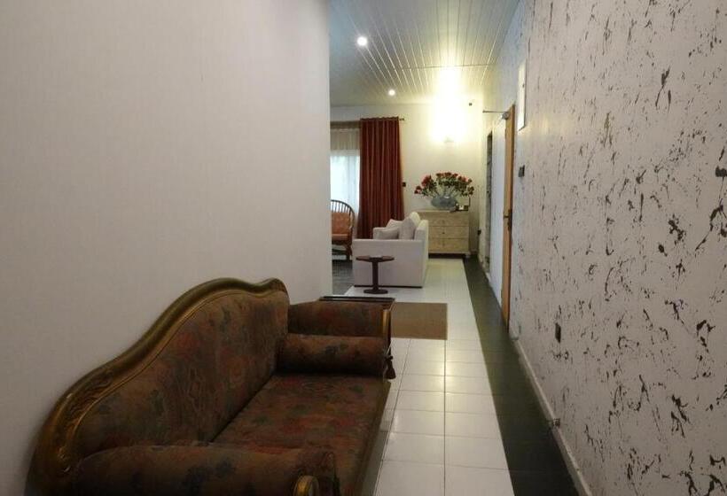 ベッドアンドブレックファースト Palm Grove